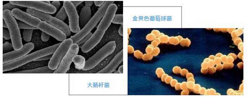 微信图片_20200610145031.jpg