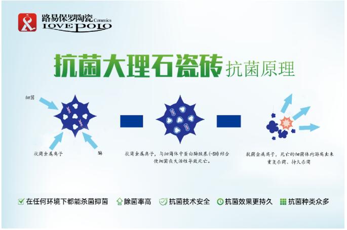 QQ截图20200609165536.jpg