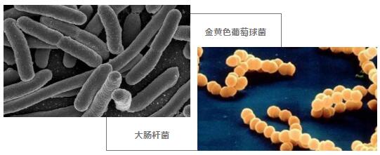 QQ截图20200610162320.jpg