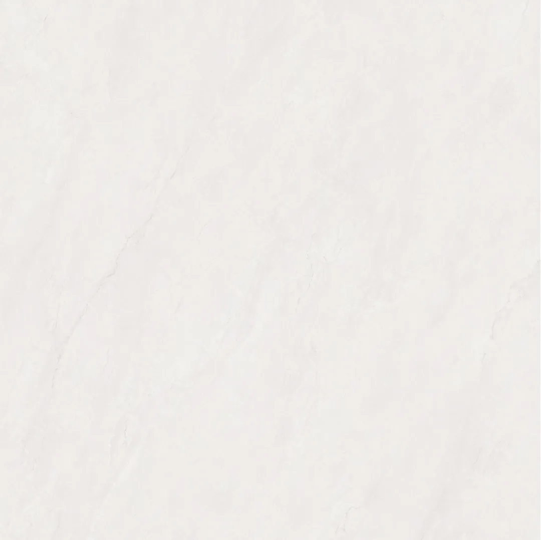 17.webp